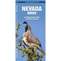 Nevada Birds: A Folding Pocket Guide to Familiar Species - Paperback