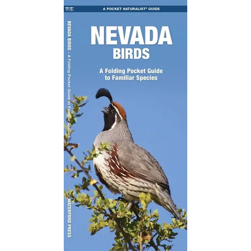 Nevada Birds: A Folding Pocket Guide to Familiar Species - Paperback