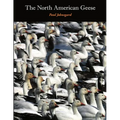 The North American Geese: Their Biology and Behavior - Paperback