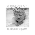 A History of Mindfulness - Paperback