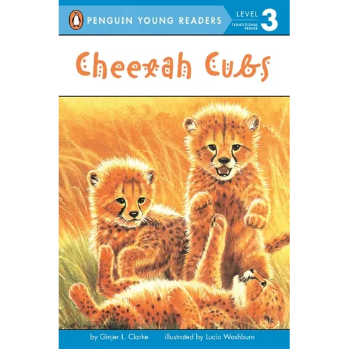Cheetah Cubs - Paperback