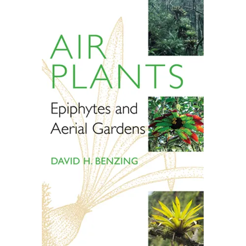 Air Plants: Epiphytes and Aerial Gardens - Hardcover