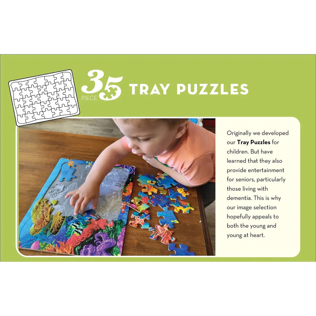 Hockey Pond 35 Piece Tray Jigsaw Puzzle Cobble Hill