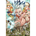 Dr. Stone, Vol. 12: The Secret of Petrification - Paperback