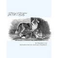 A History and Description of the Collie or Sheepdog - Paperback