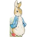 All about Peter - Board Book