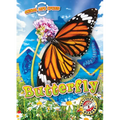 Animal Life Cycles: Butterfly - Library Binding