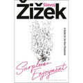 Surplus-Enjoyment: A Guide for the Non-Perplexed - Hardcover