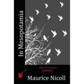 In Mesopotamia - Paperback