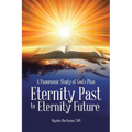 A Panoramic Study of God's Plan: Eternity Past to Eternity Future - Paperback