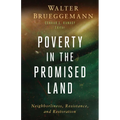 Poverty in the Promised Land: Neighborliness, Resistance, and Restoration - Paperback