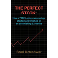 The Perfect Stock: How a 7000% move was set-up, started and finished in an astonishing 52 weeks - Paperback