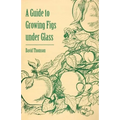 A Guide to Growing Figs Under Glass - Paperback