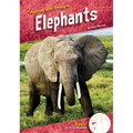 Elephants - Library Binding