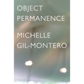 Object Permanence - Paperback