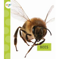 Bees - Paperback