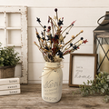 Americana Starburst Mason Jar