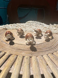 Sea Turtle Seashell Critters