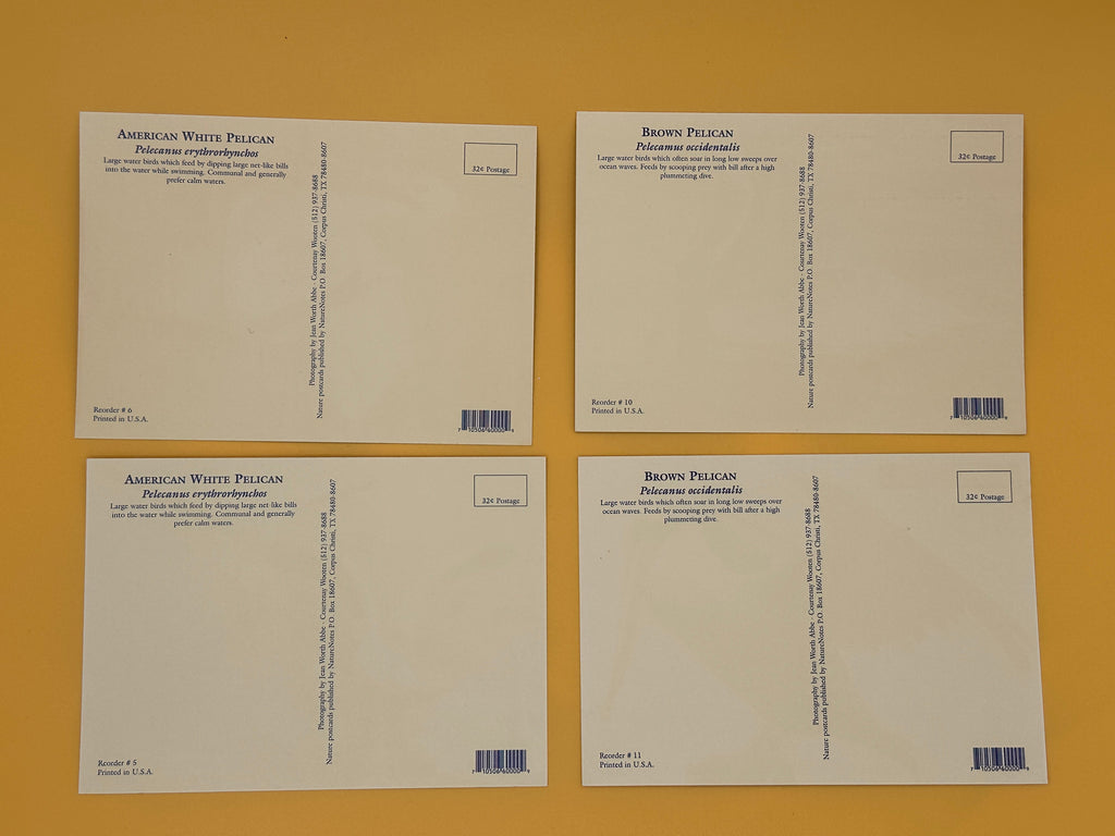 Pelican Post Card Bundle – Set of 4 Coastal Prints
