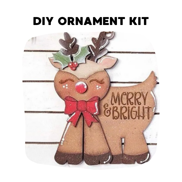 Holiday DIY Ornament Kit