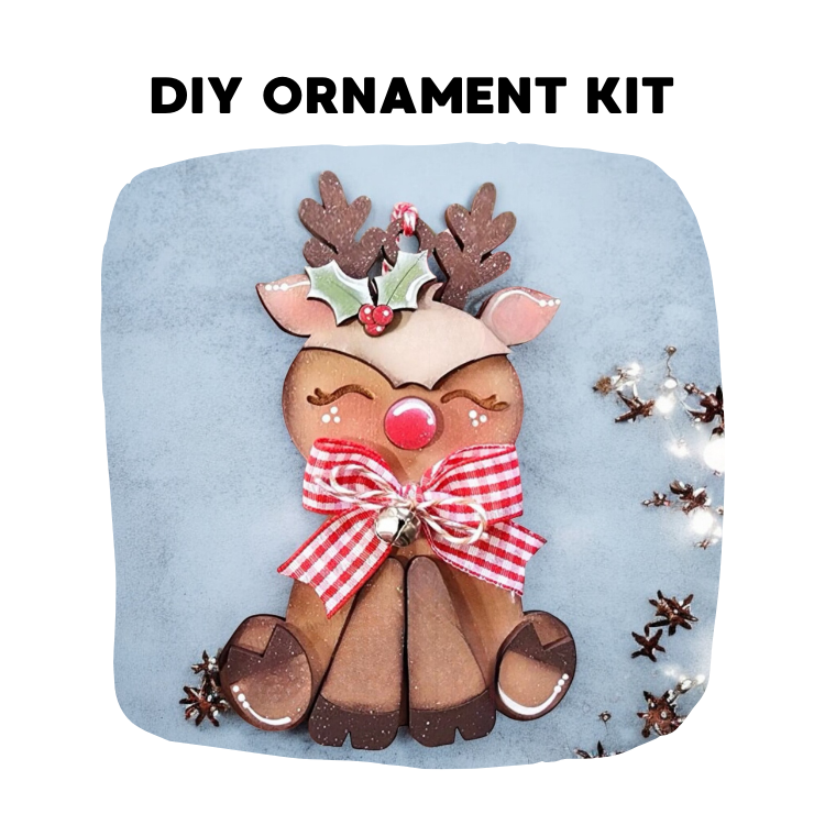 Holiday DIY Ornament Kit