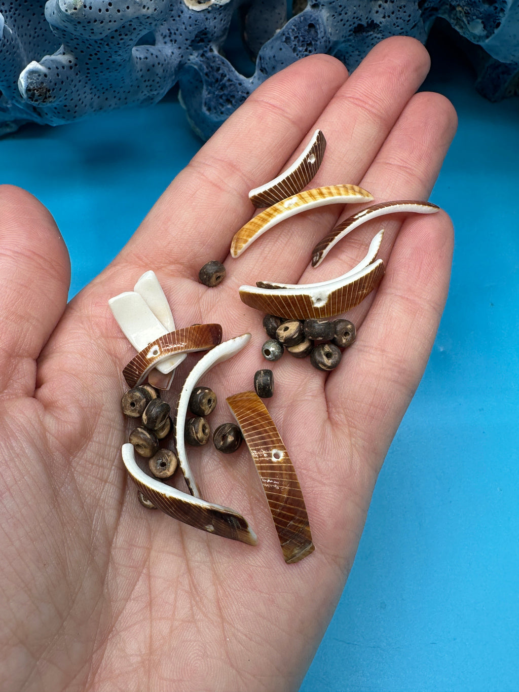 Seashell Beads - Craft Shells for DIY Projects, Jewelry & Decor