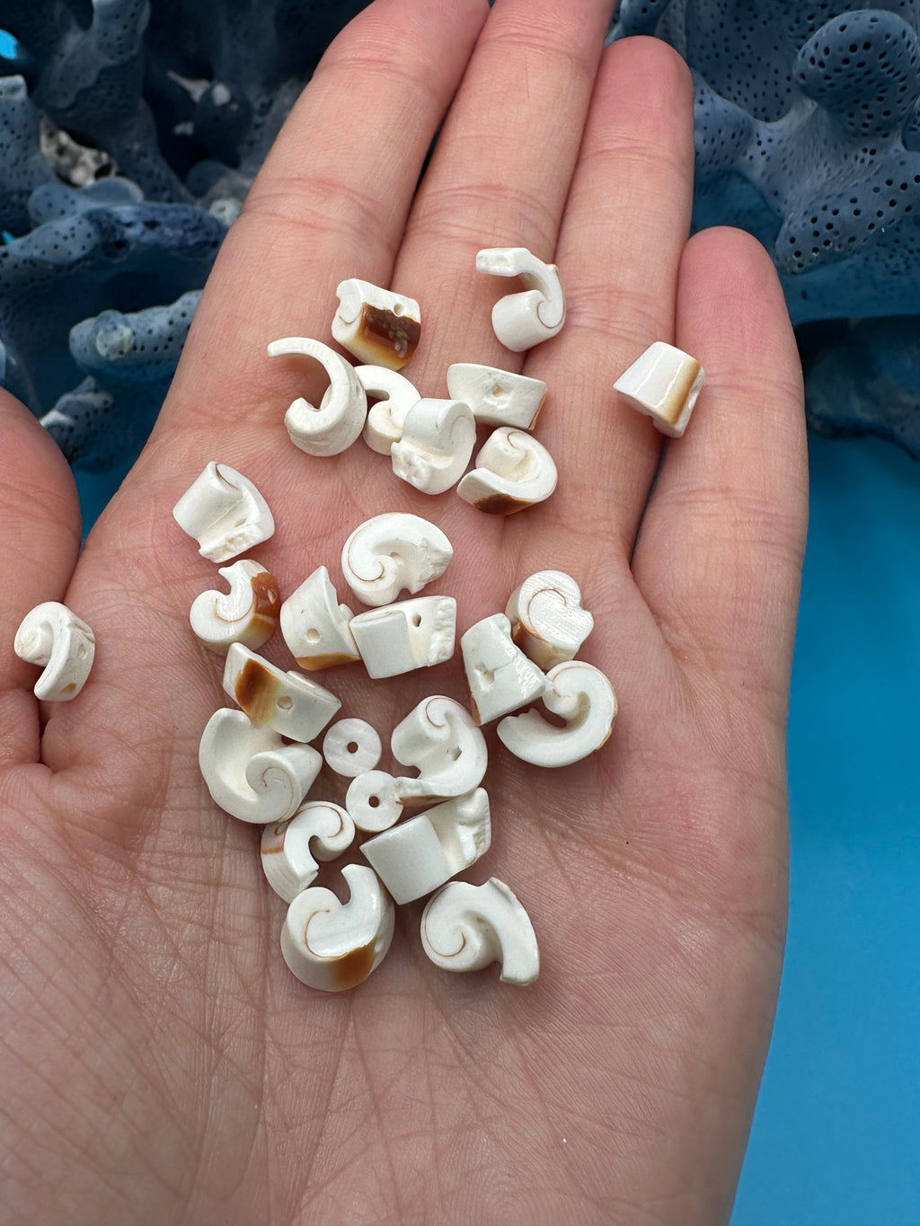 Seashell Beads - Craft Shells for DIY Projects, Jewelry & Decor