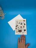 Cowrie Shells Poster and Greeting Cards
