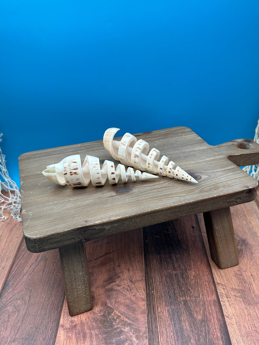 Spiral Cut Marlin Spike Shell – 5-7"