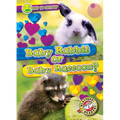 Baby Rabbit or Baby Raccoon? - Library Binding