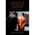 American Juvenile Justice - Paperback