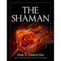 The Practical Shaman - Paperback