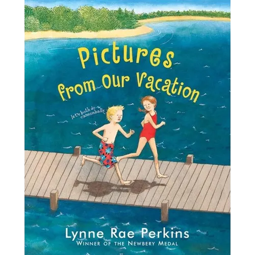 Pictures from Our Vacation - Hardcover