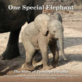 One Special Elephant: The Story of Penelope Petunia - Paperback
