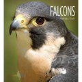 Falcons - Library Binding