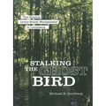 Stalking the Ghost Bird: The Elusive Ivory-Billed Woodpecker in Louisiana - Paperback