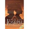 Much Like Joseph: From Pit to Glory - Paperback