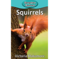 Squirrels - Hardcover