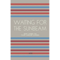 Waiting For The Sunbeam: Short Stories for Polish Language Learners - Paperback