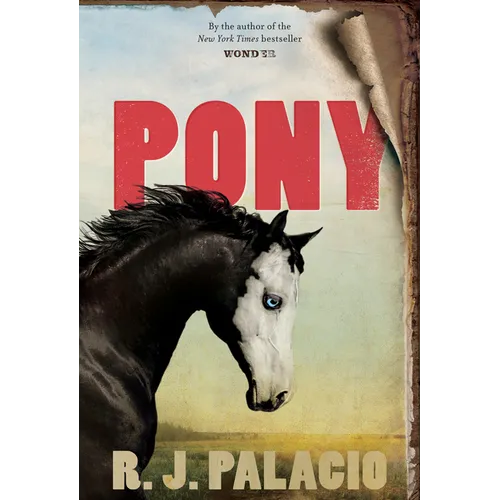 Pony - Hardcover