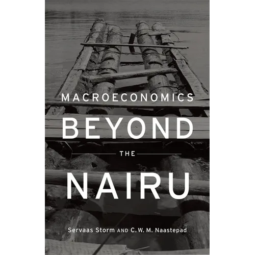 Macroeconomics Beyond the NAIRU - Hardcover