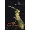 How They Became Birds - Paperback