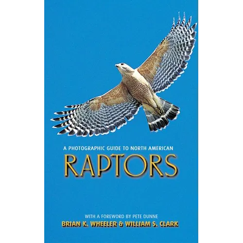 A Photographic Guide to North American Raptors - Paperback