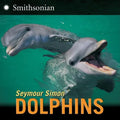 Dolphins - Paperback