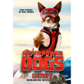 Superpower Dogs: Henry - Paperback