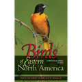Birds of Eastern North America: A Photographic Guide a Photographic Guide - Paperback