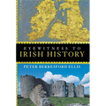 Eyewitness to Irish History - Hardcover
