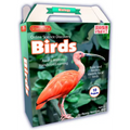 Online Discovery Birds - Hardcover