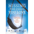 Missing the Child You Love - Paperback