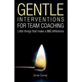 Gentle Interventions for Team Coaching: Little things that make a BIG difference - Paperback